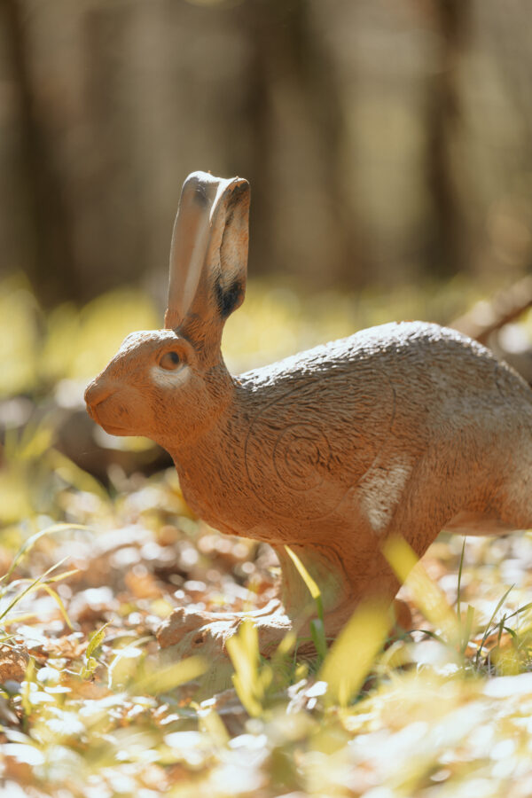 SRT Running Hare