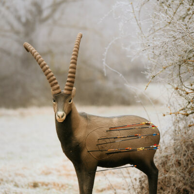 SRT Ibex standing with SFC inside