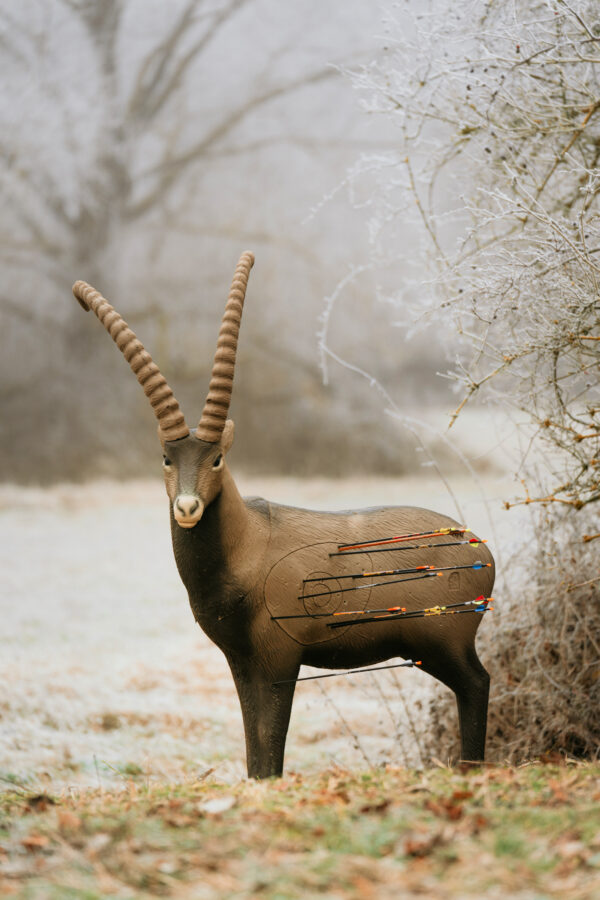SRT Ibex standing (with SFC)