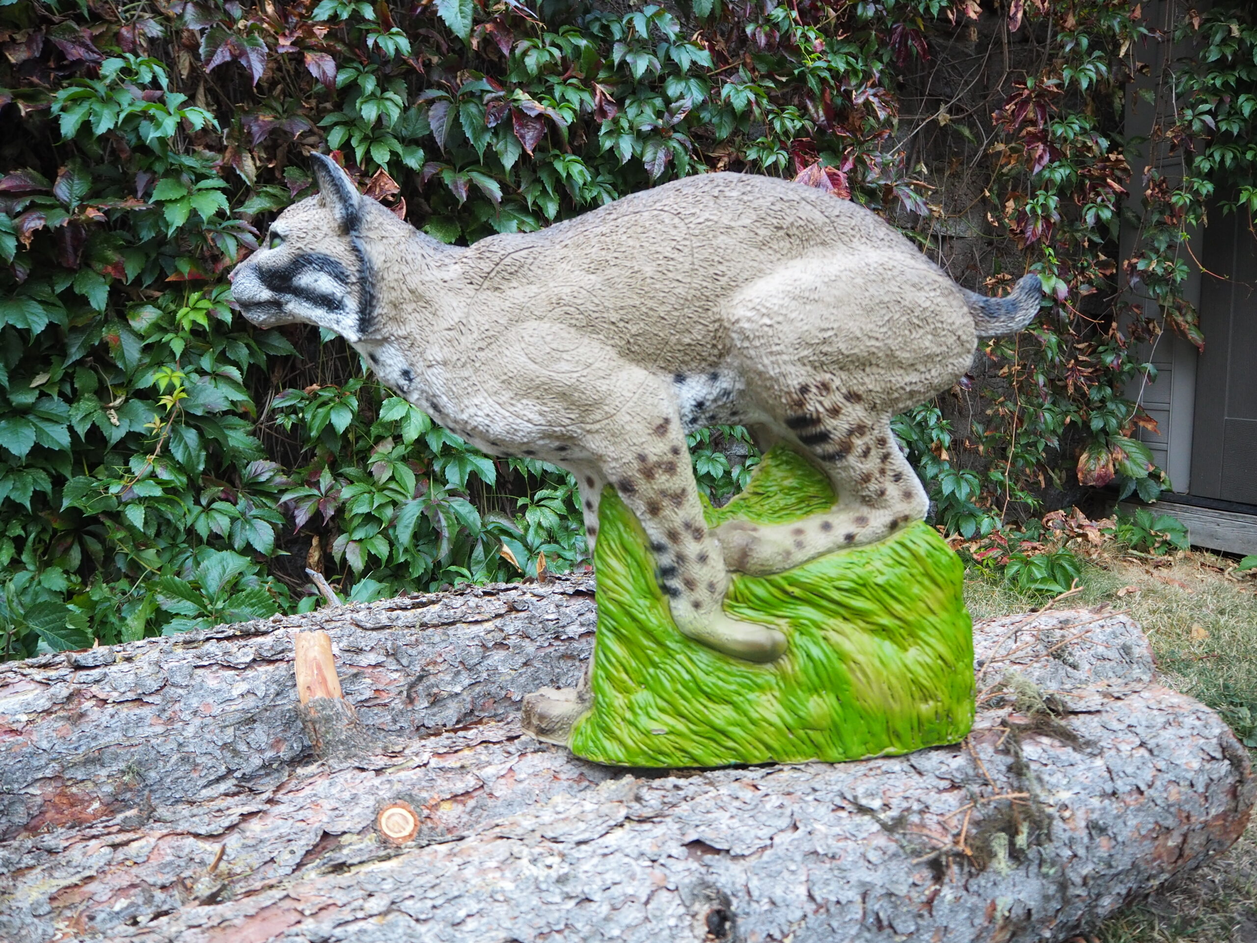 SRT Bobcat (with SFC)