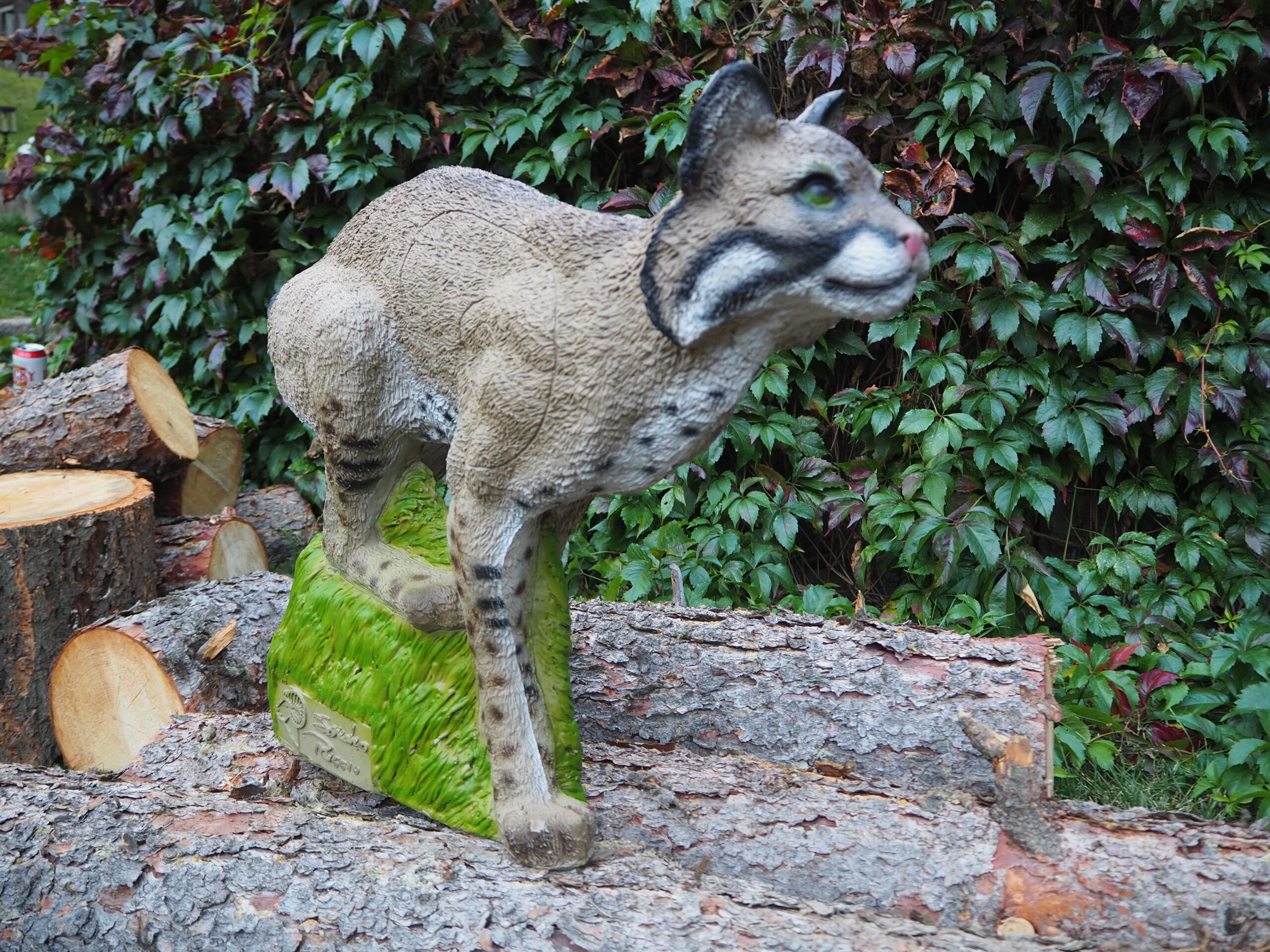 SRT Bobcat (with SFC) - Image 6