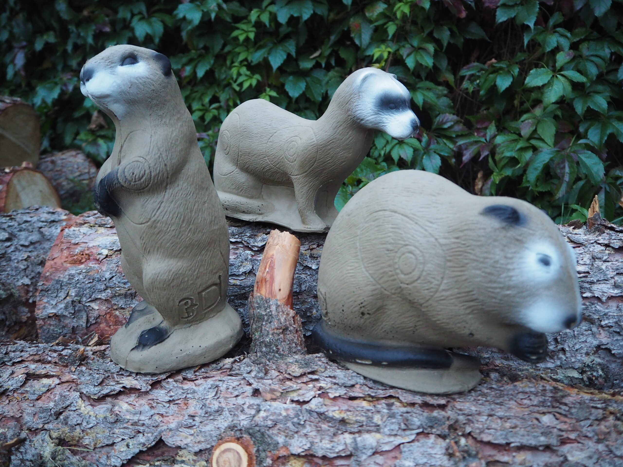 3Di Familypack, Set of The Littles (Mink, Muskrat and Prairie Dog)