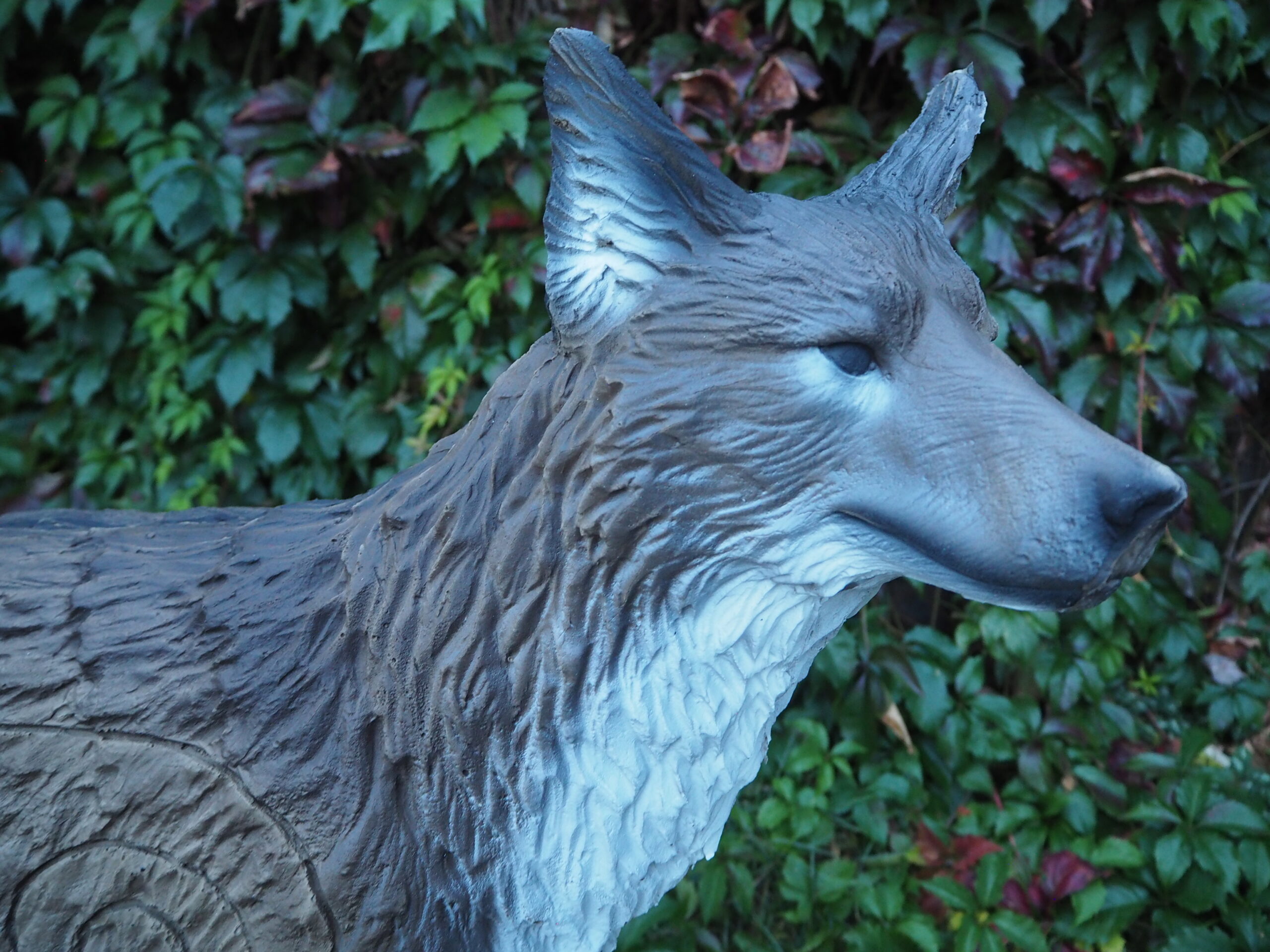 SRT Jackal - Image 2