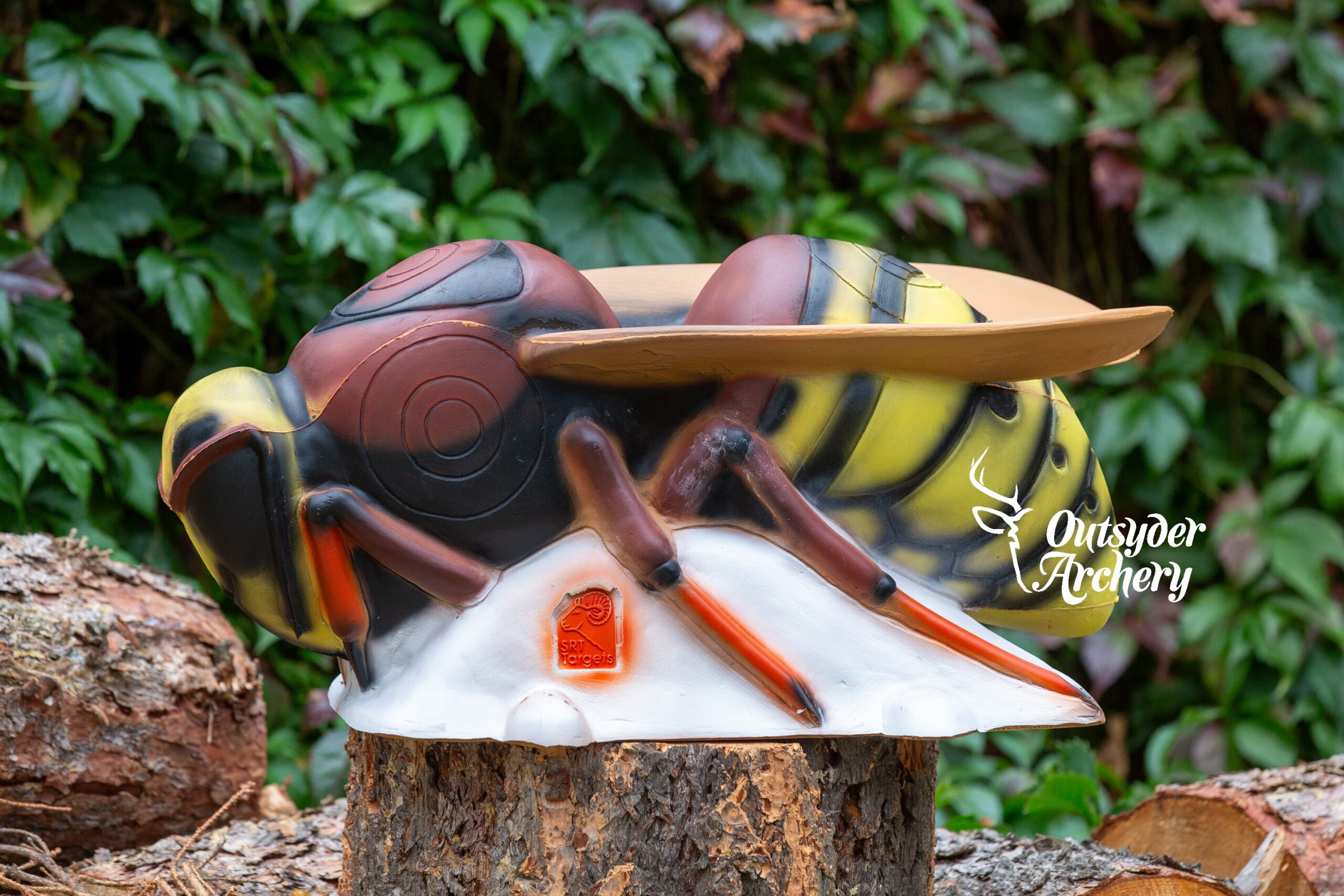 SRT Hornet - Image 2