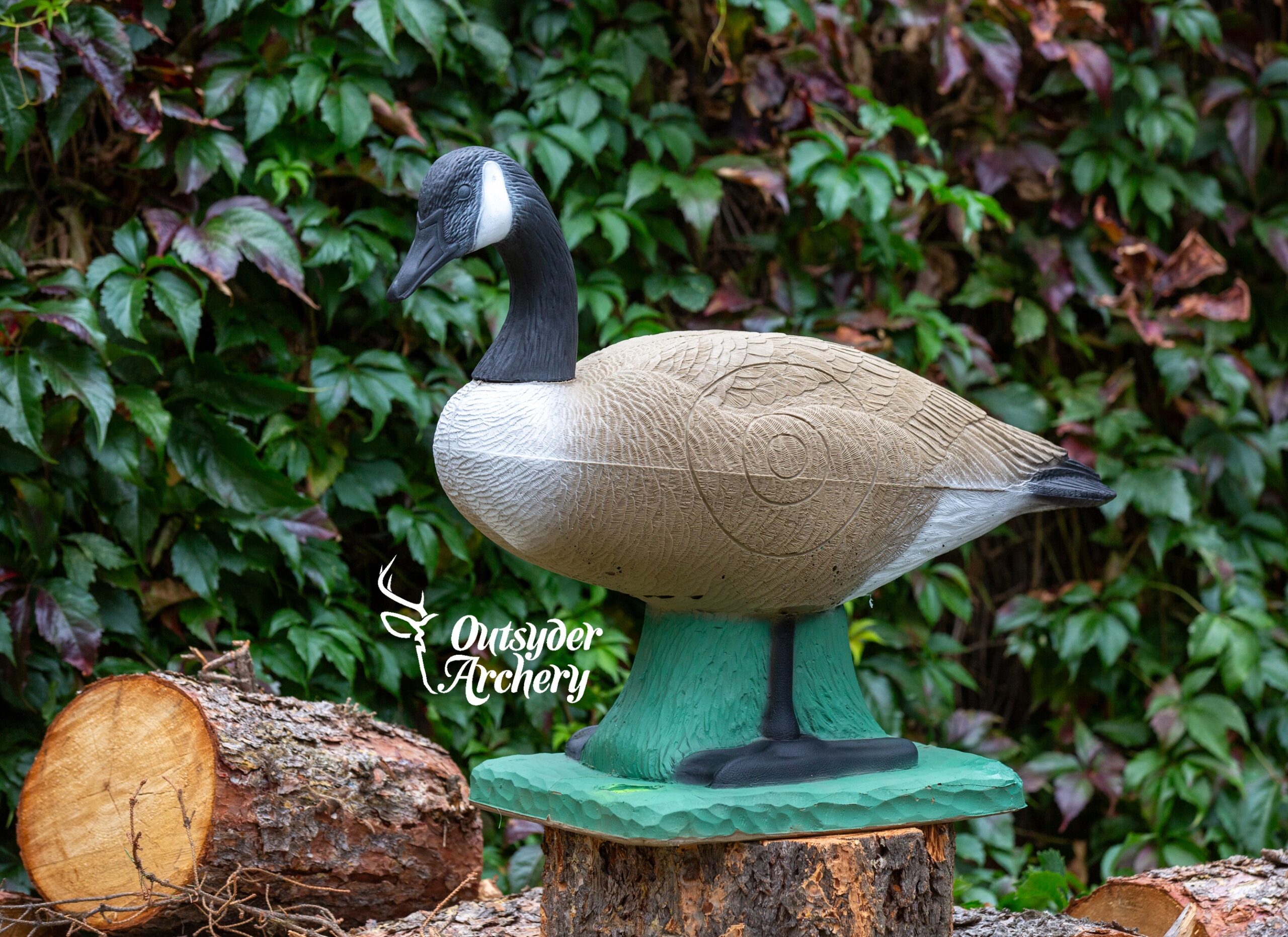 SRT Canadian Goose - Image 2