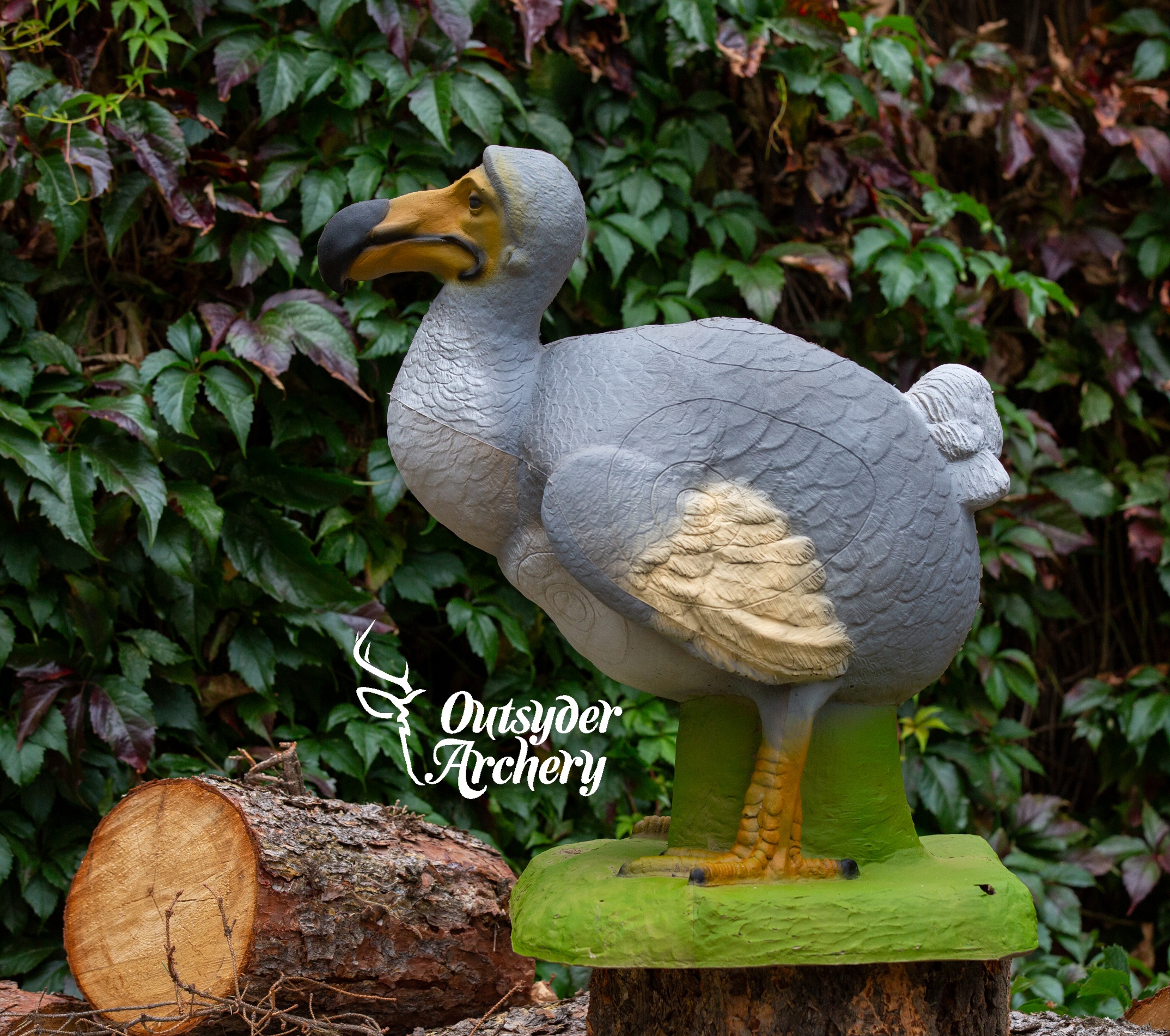 SRT Dodo London (with SFC) - Image 2