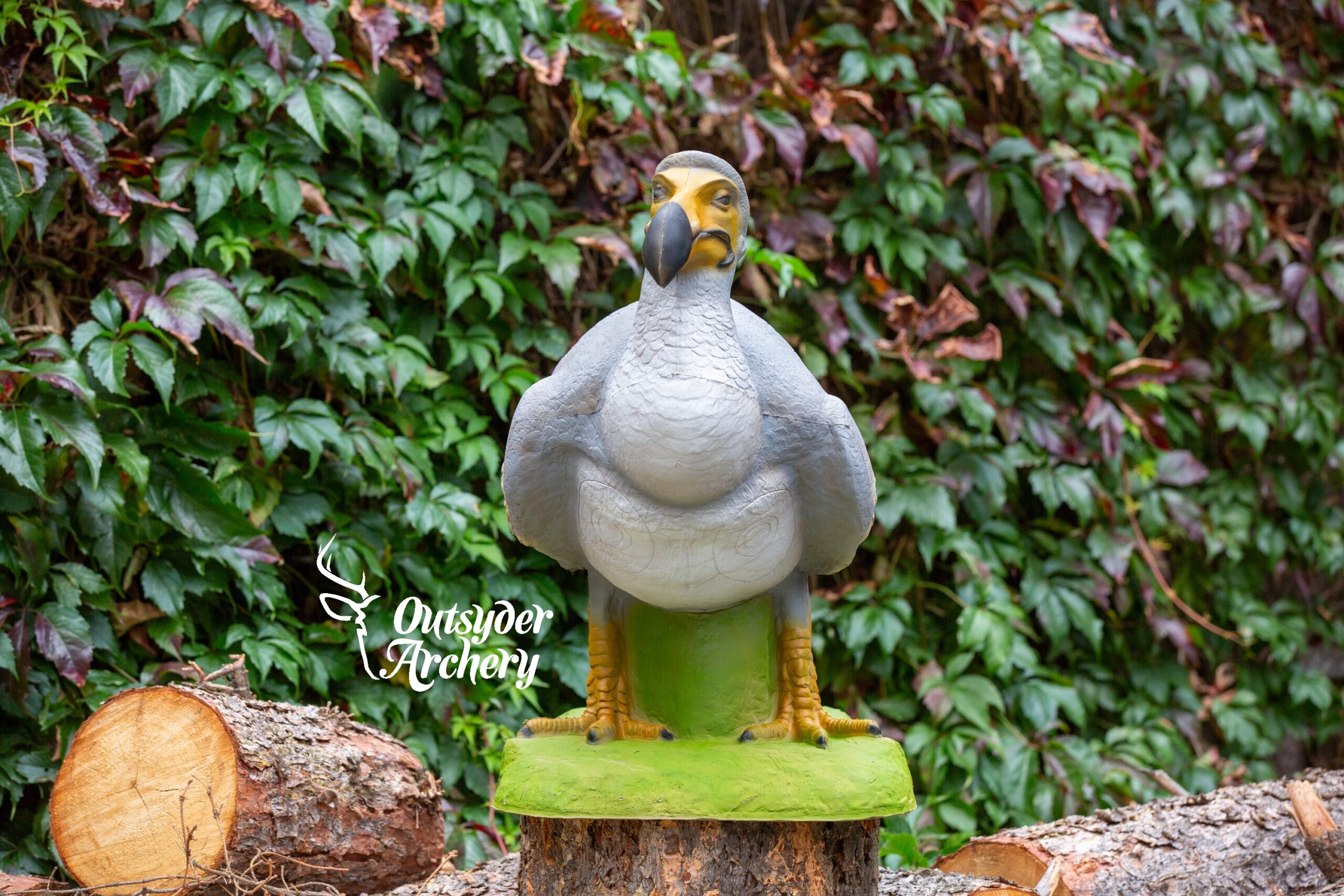 SRT Dodo London (with SFC)