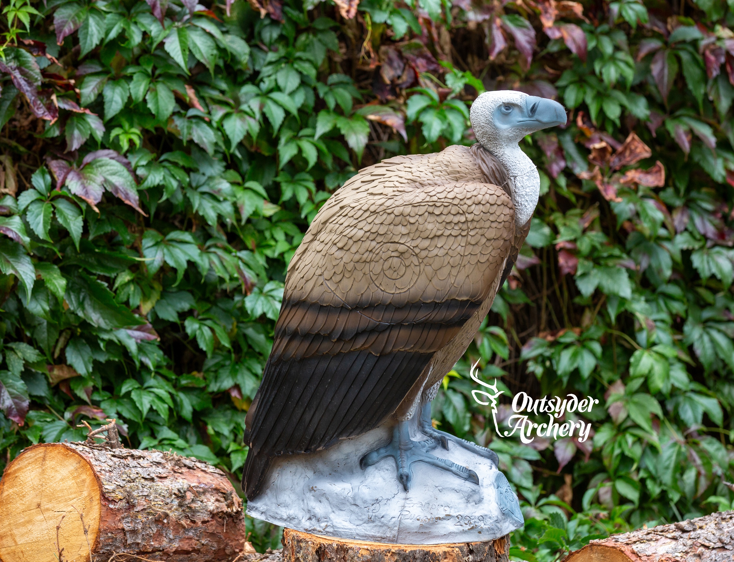 SRT Griffin - Image 3