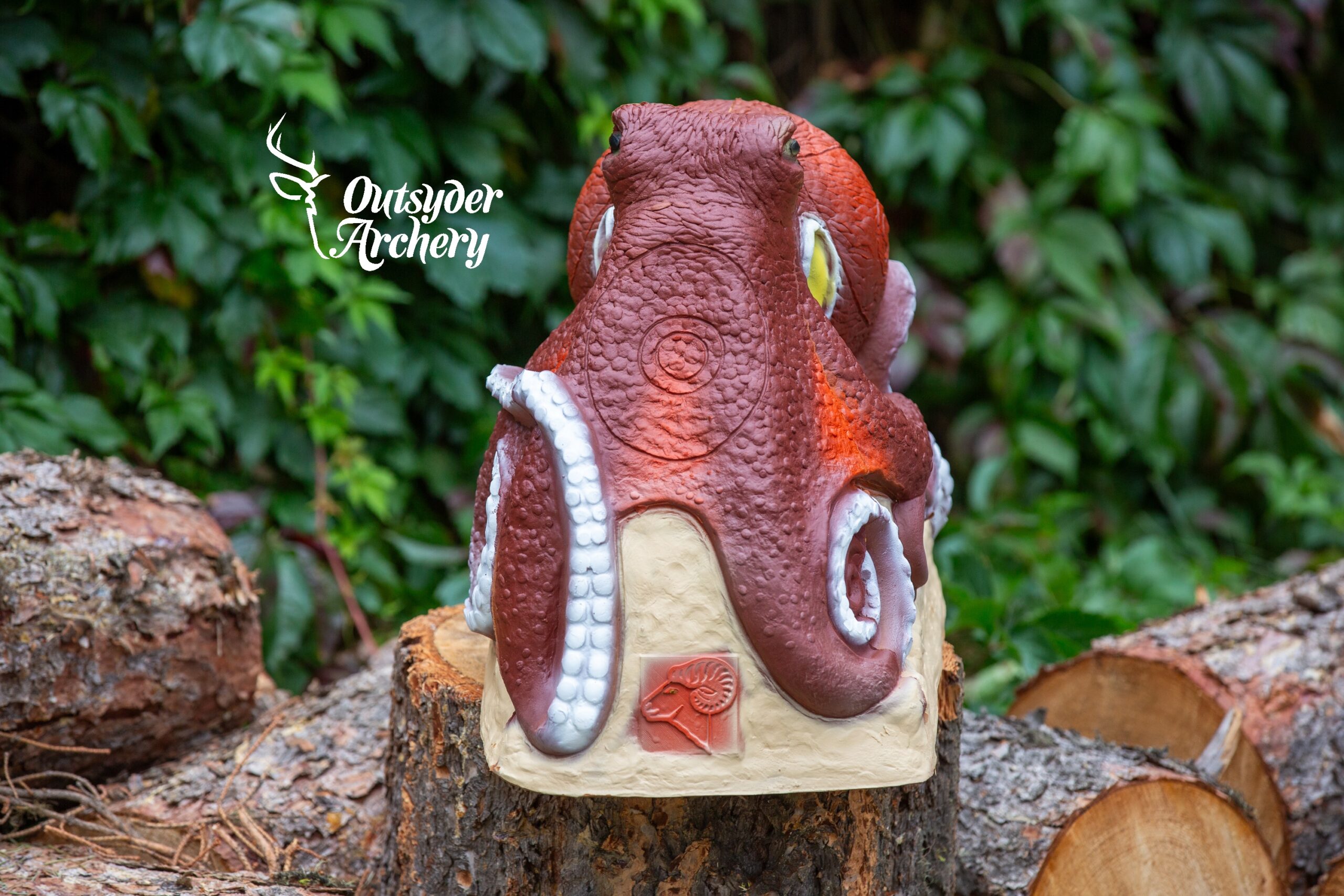 SRT Octopus - Image 2