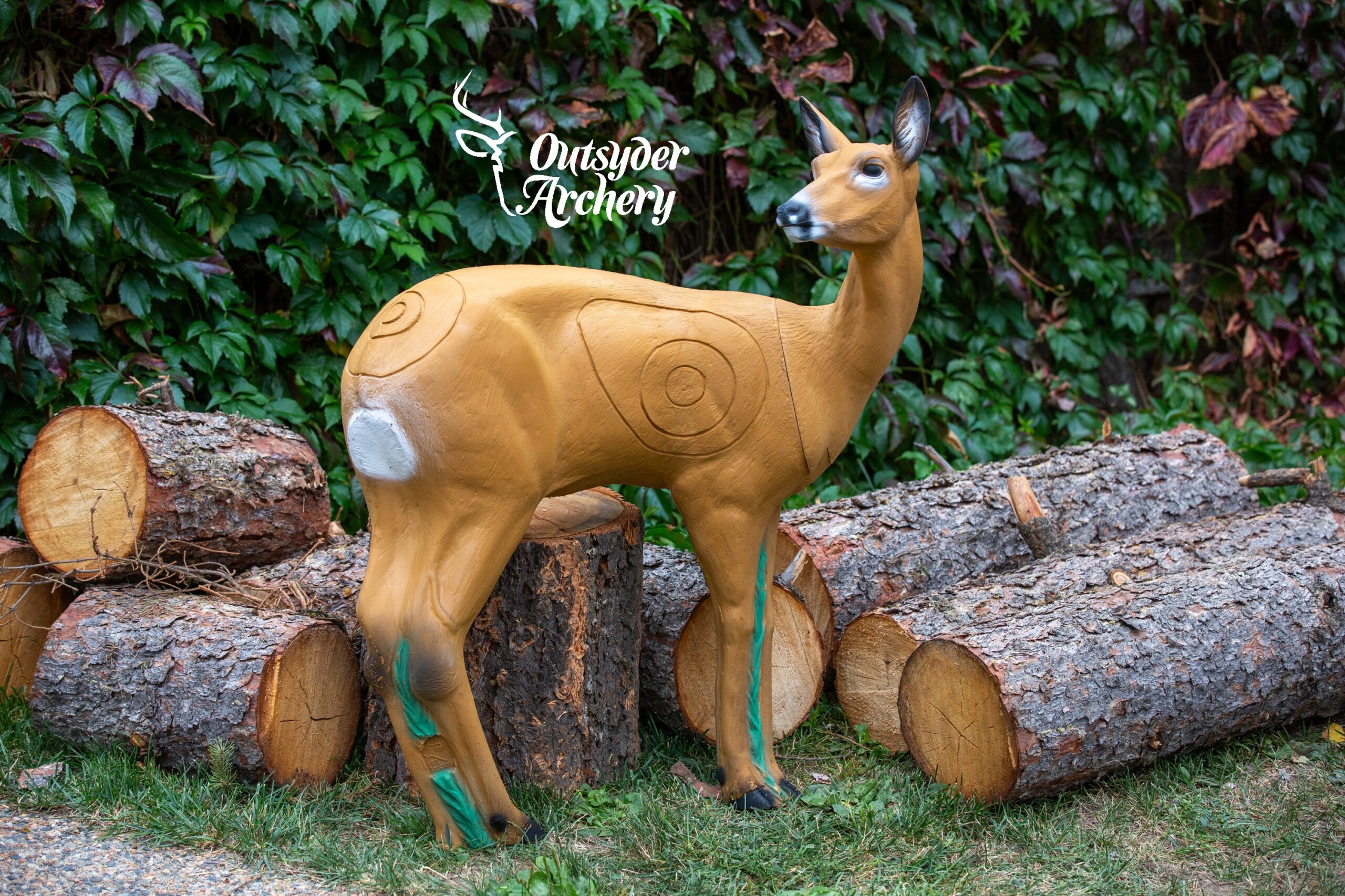 SRT Roedeer (VSE) female standing (with SFC)