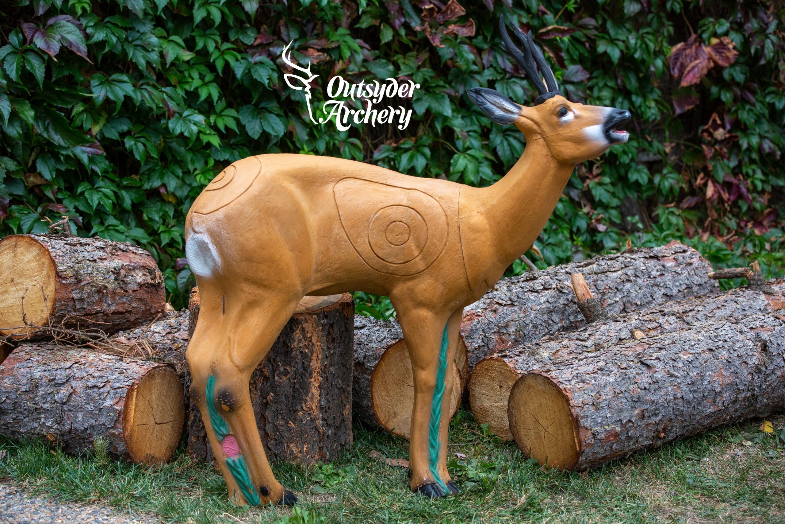 SRT Roedeer (VSE) bleating (with SFC)