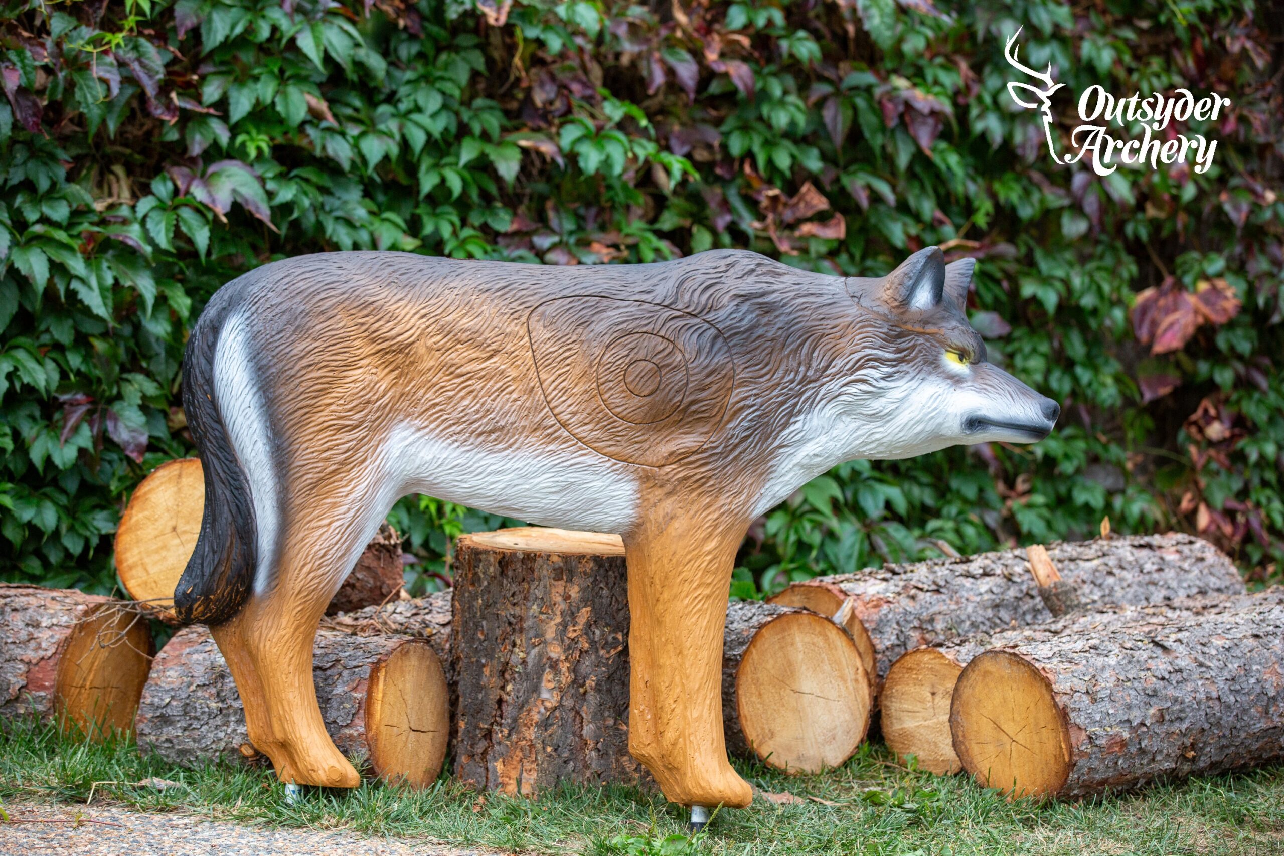 SRT Wolf standing - Image 2