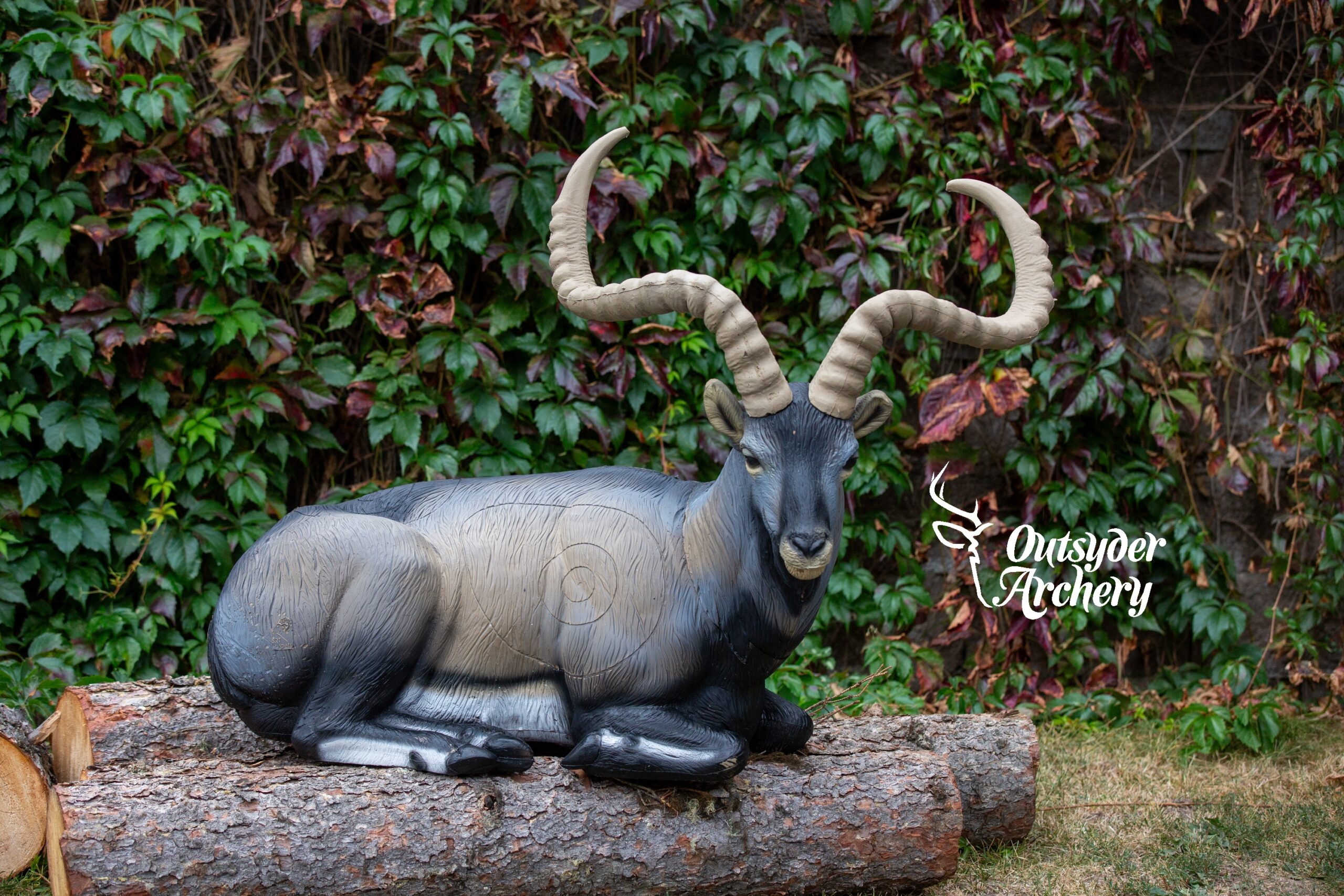 SRT Cabra montés bedded (with SFC)