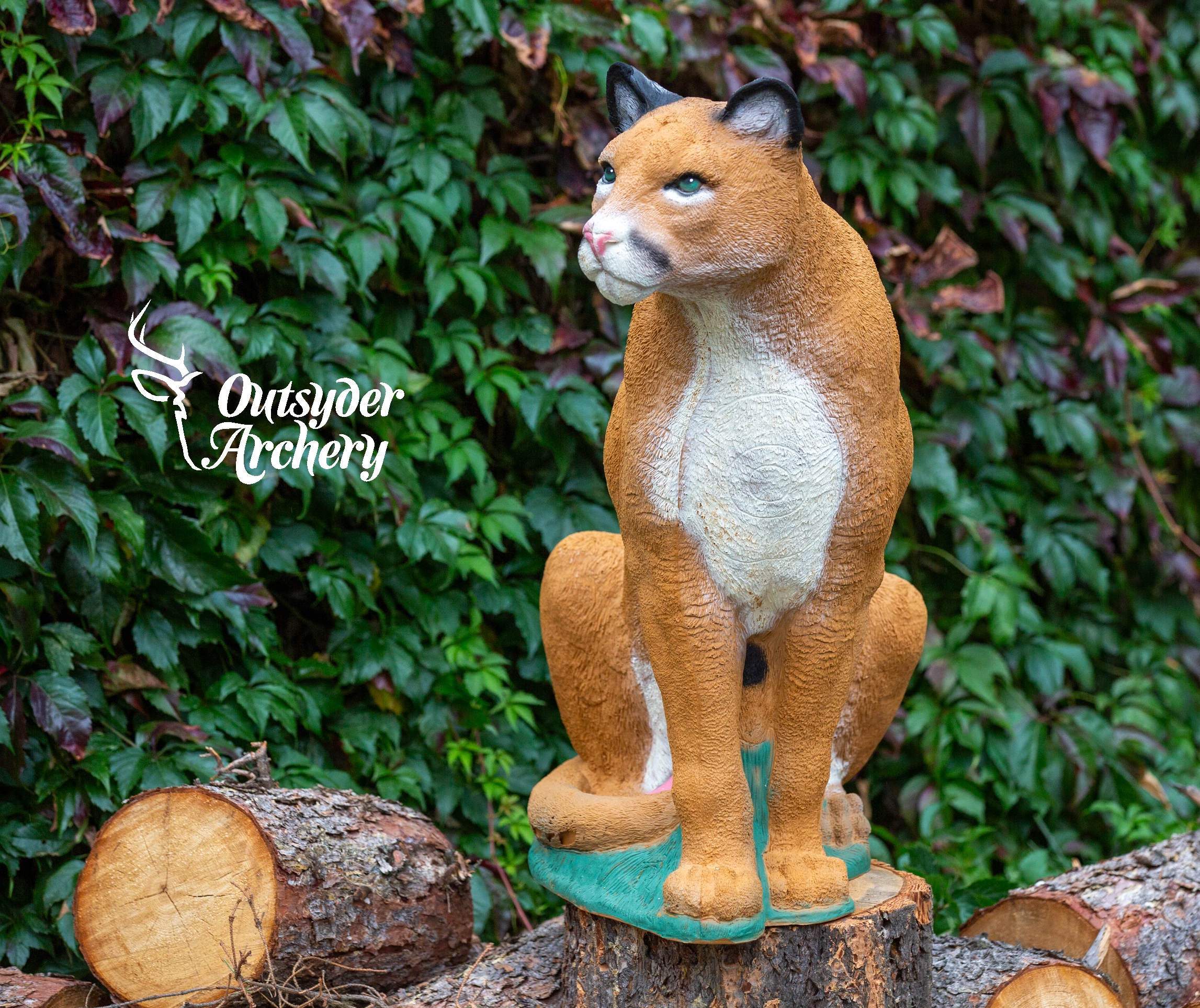 SRT Mountain Lion sitting