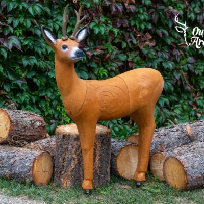 SRT Roebuck standing