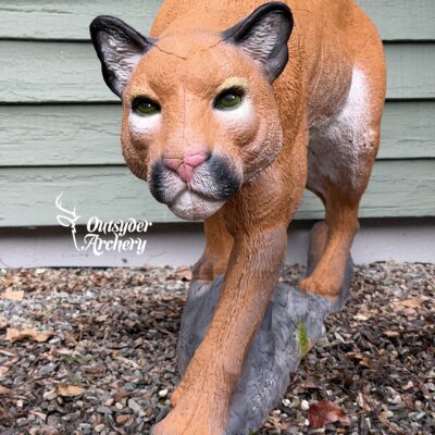 SRT Mountain Lion walking (with SFC)