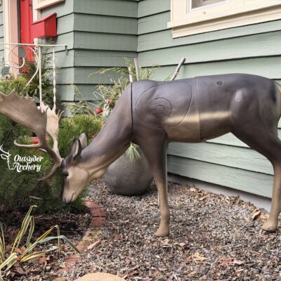 SRT Fallow Deer male grazing (with SFC)