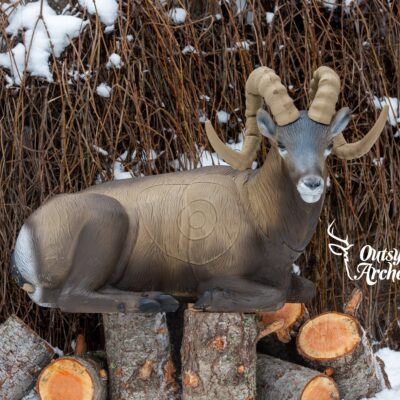 SRT Rocky Mountain Sheep bedded (with SFC)