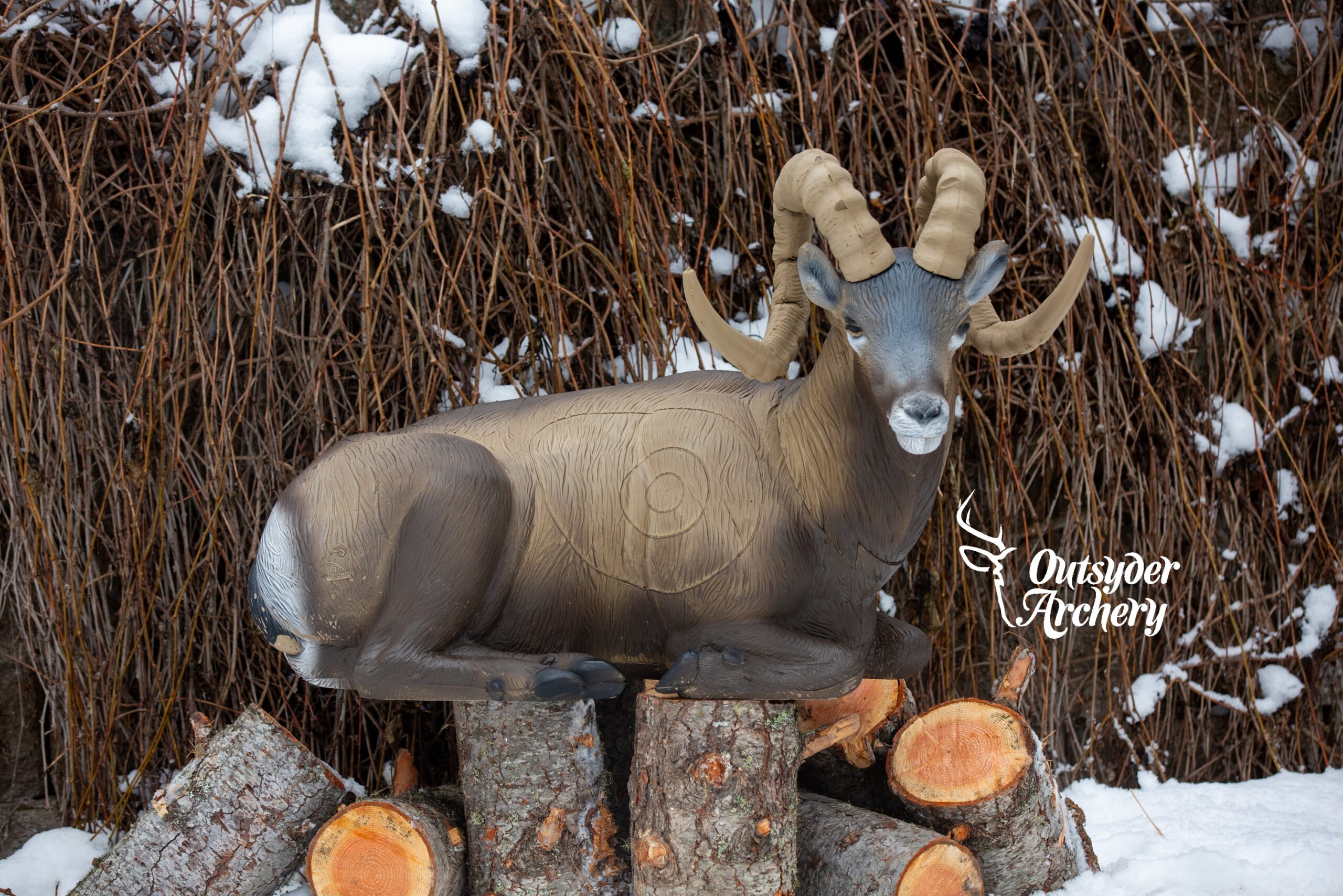 SRT Rocky Mountain Sheep bedded (with SFC)