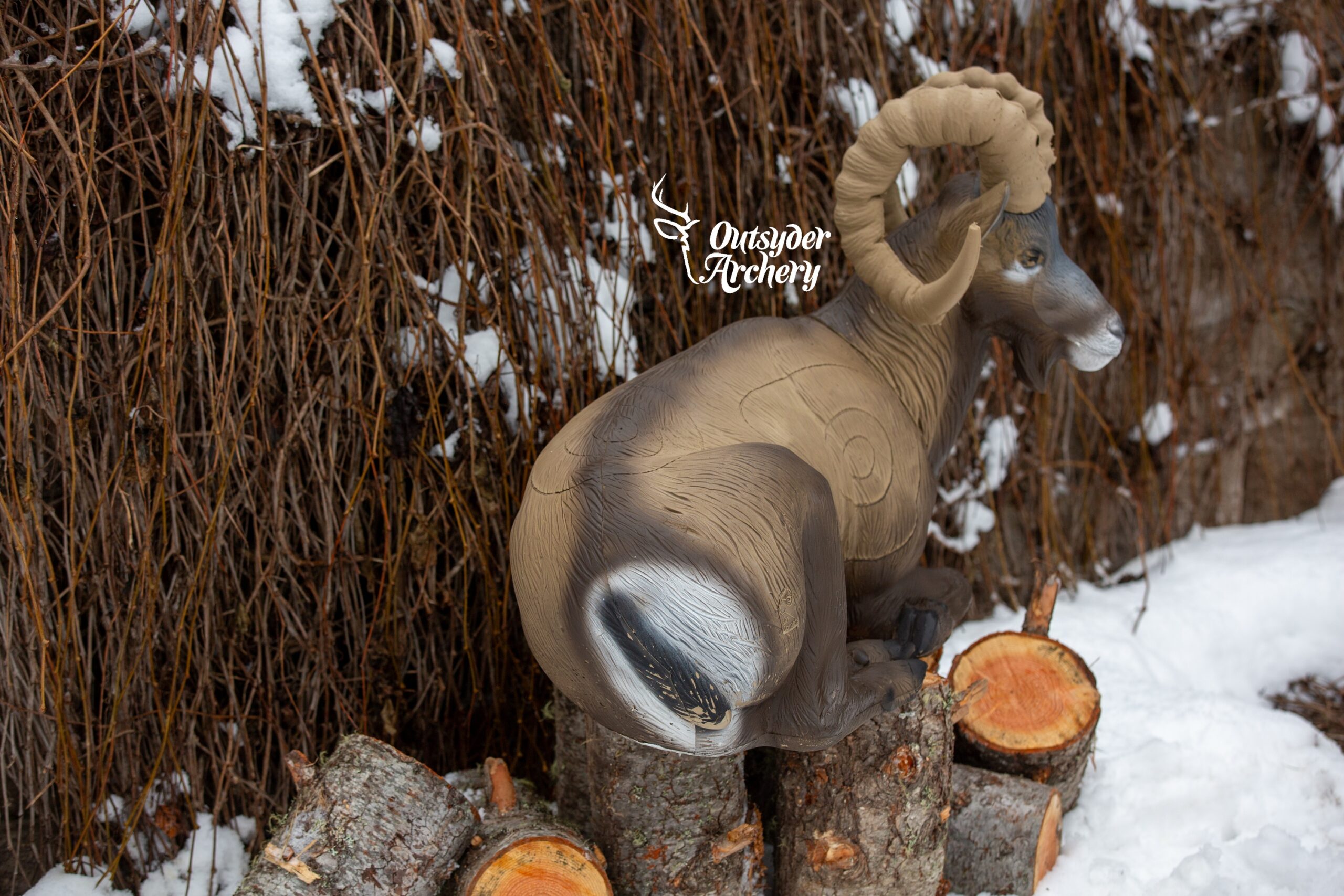 SRT Rocky Mountain Sheep bedded (with SFC) - Image 2