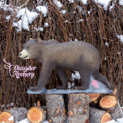 SRT Brown Bear cub walking
