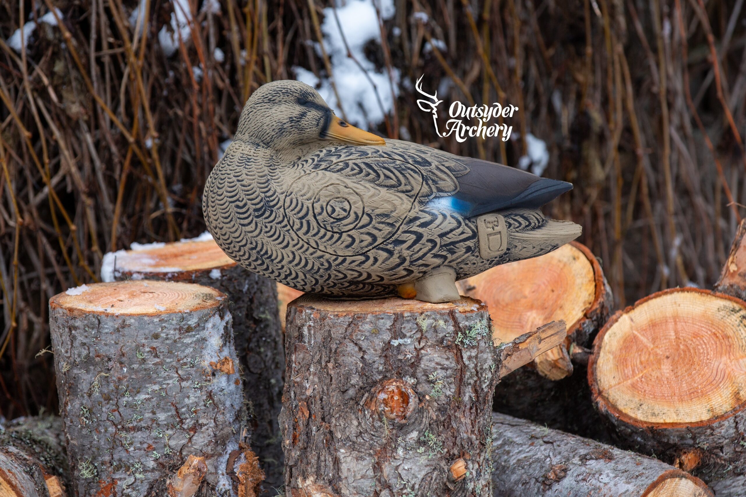 3Di Duck - Image 2