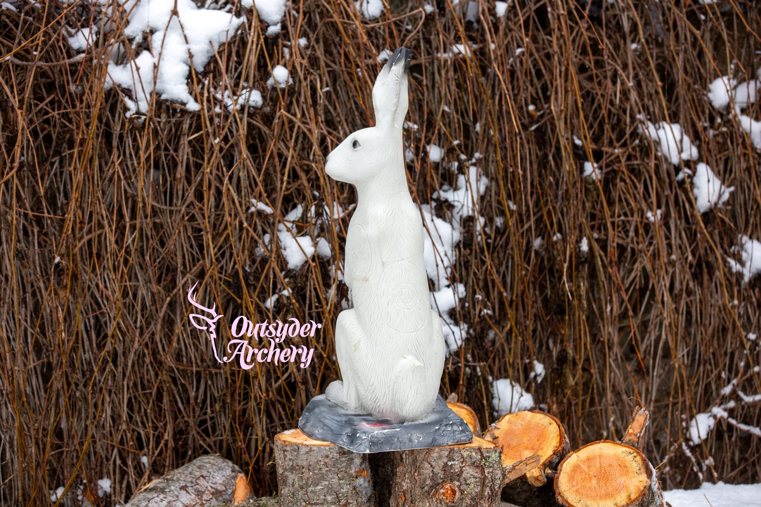 SRT Polar Hare (with SFC) - Image 2