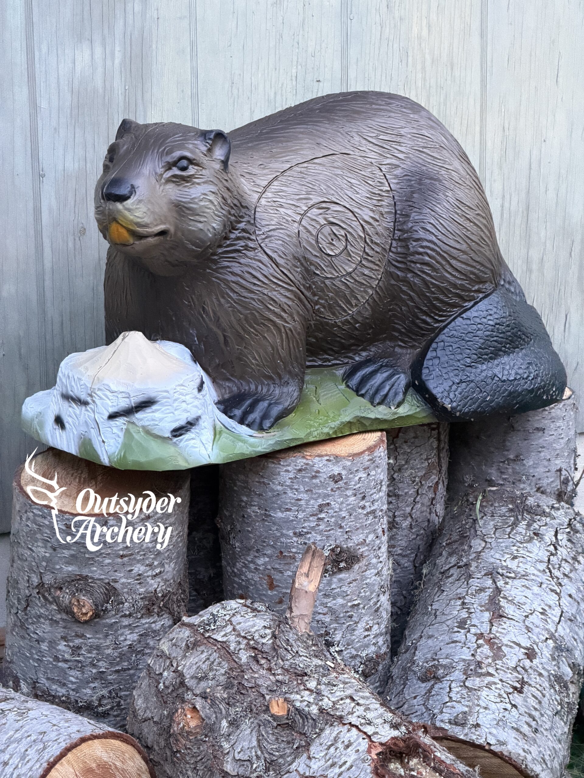SRT Beaver - Image 2