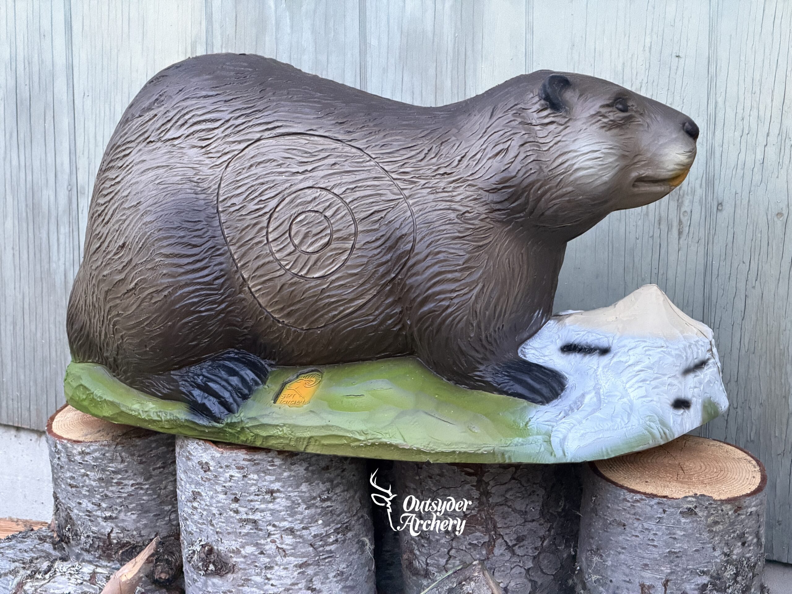 SRT Beaver - Image 3