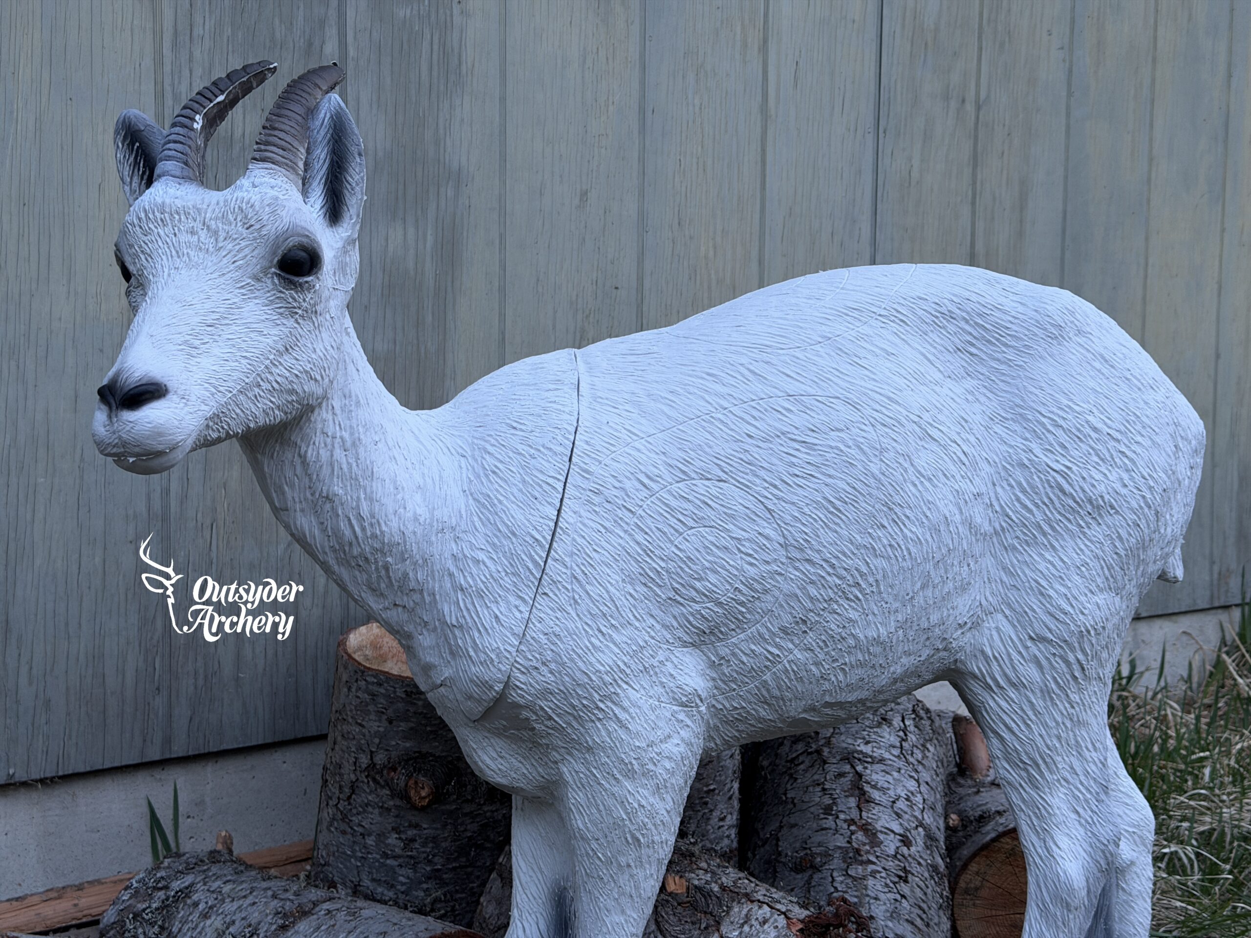 SRT Dall sheep Female - Image 3