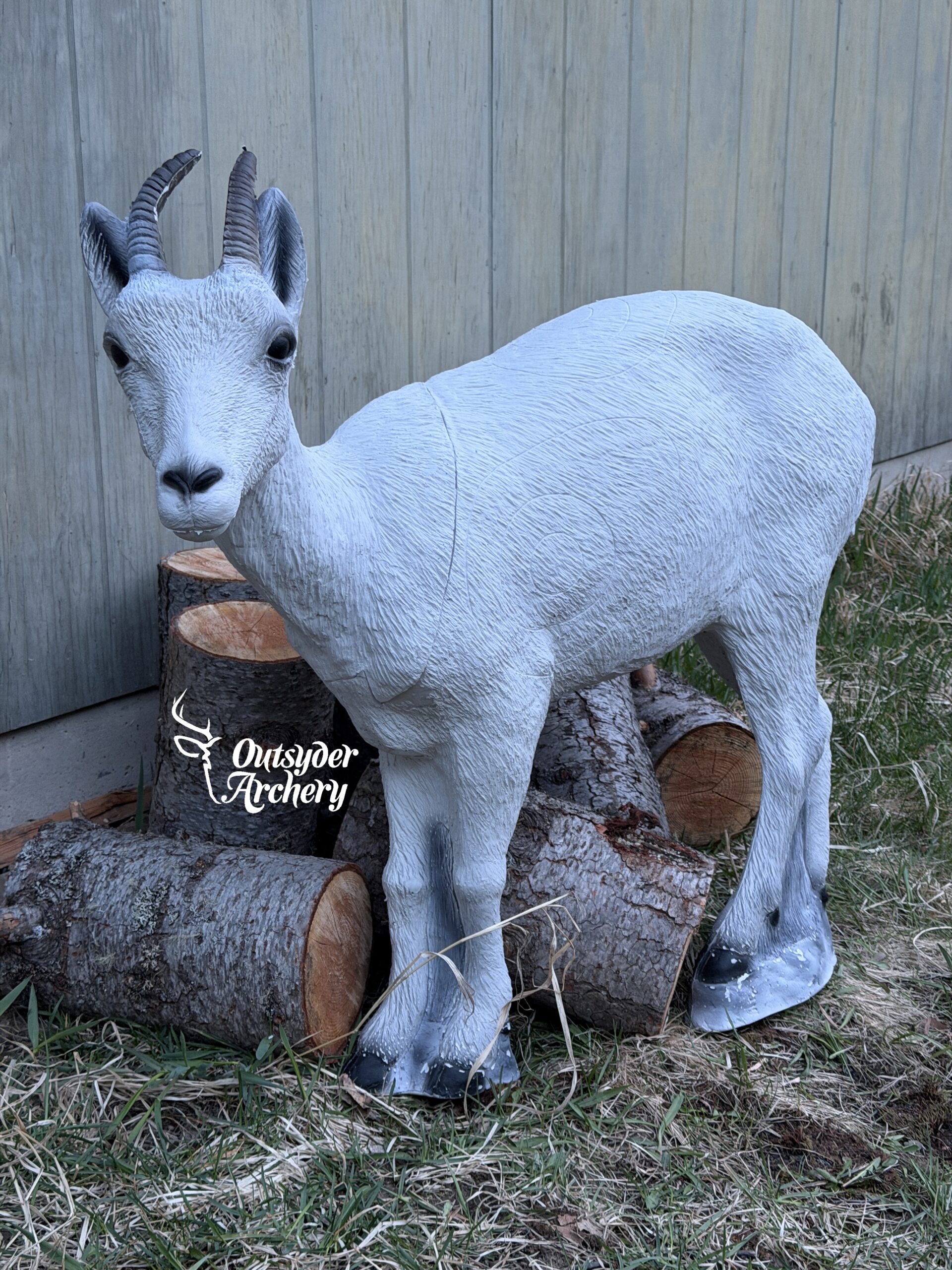 SRT Dall sheep Female - Image 2