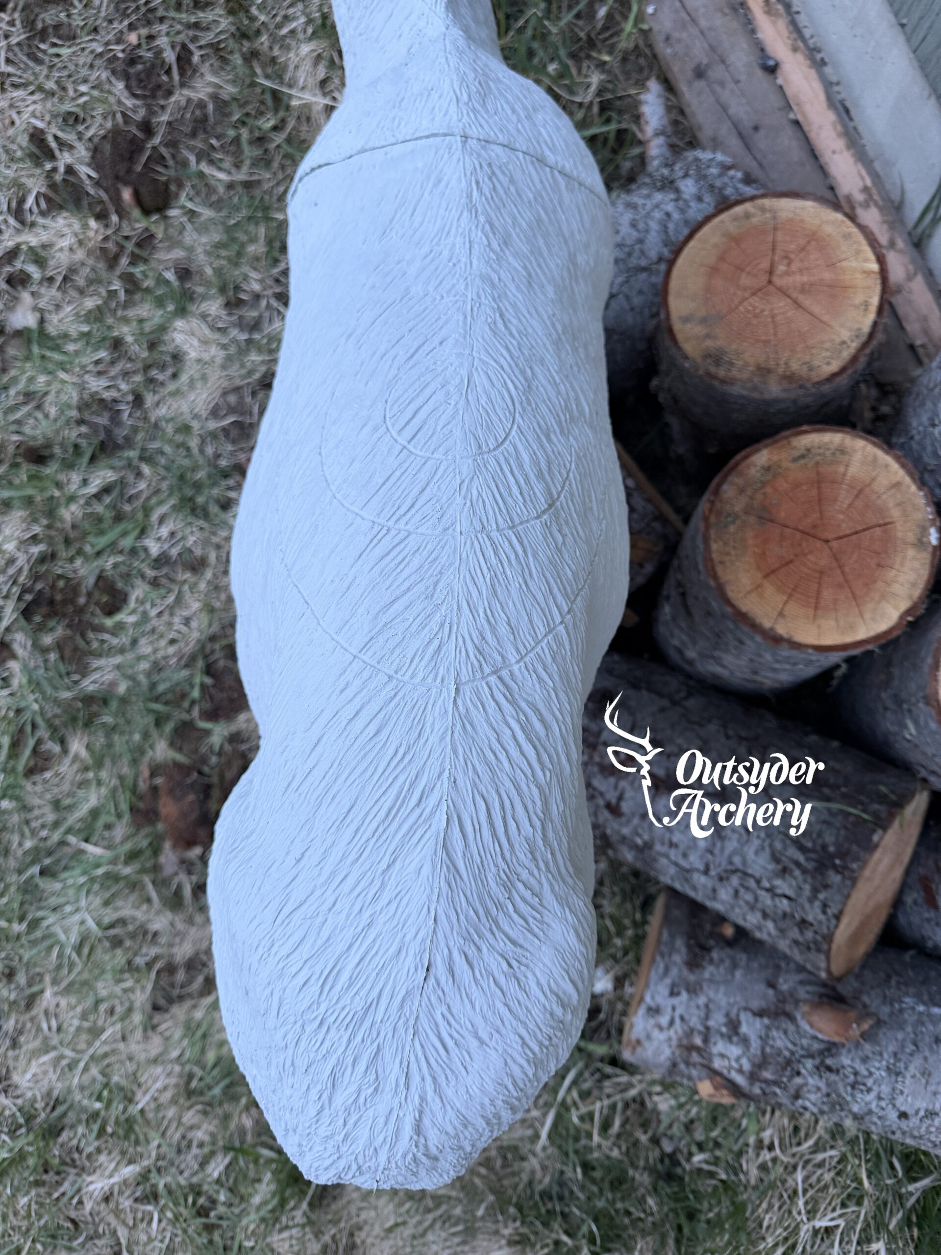 SRT Dall sheep Female - Image 4