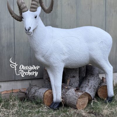 SRT Dall sheep standing