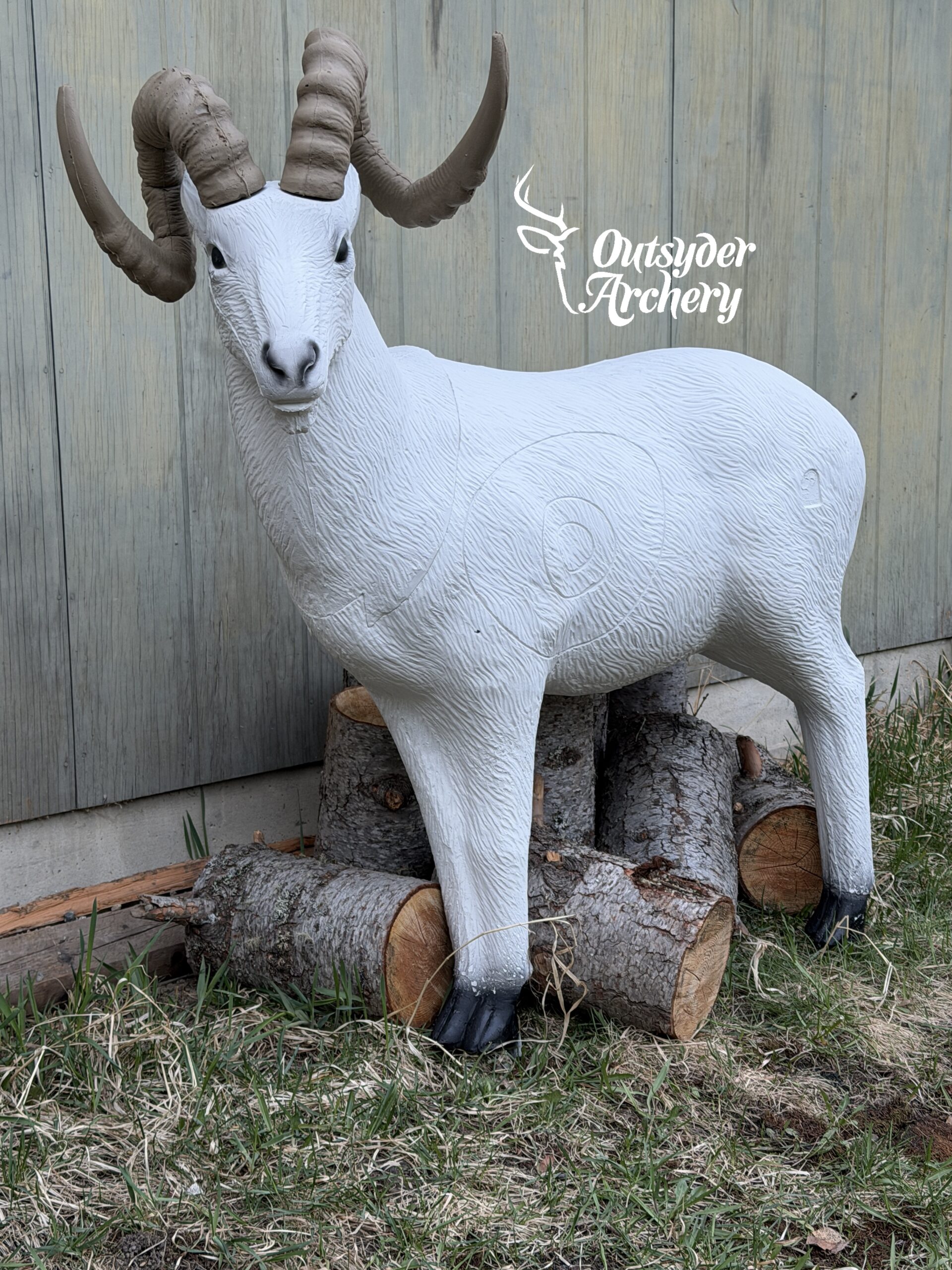SRT Dall sheep standing - Image 2