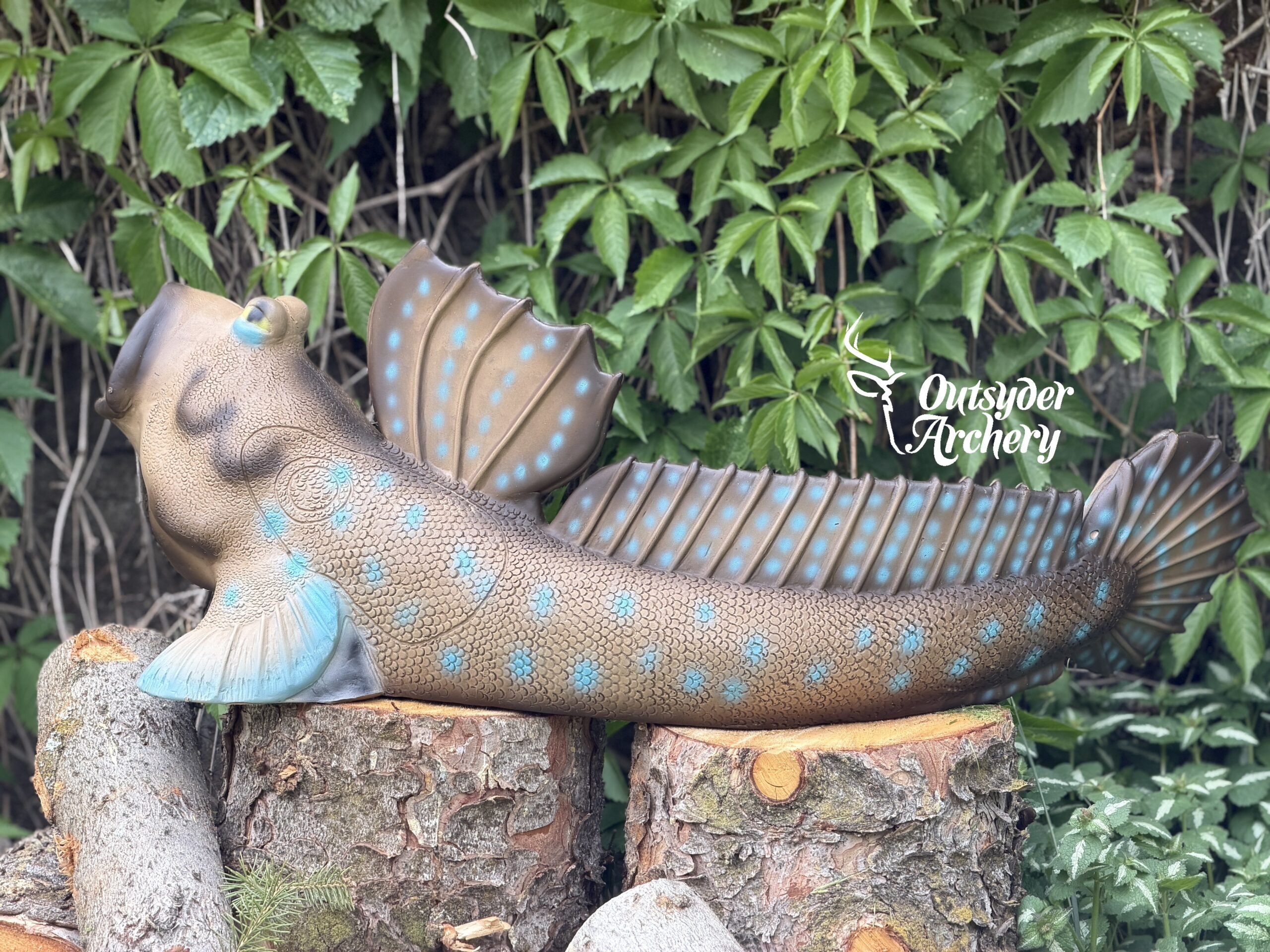 SRT Mudskipper - Image 3