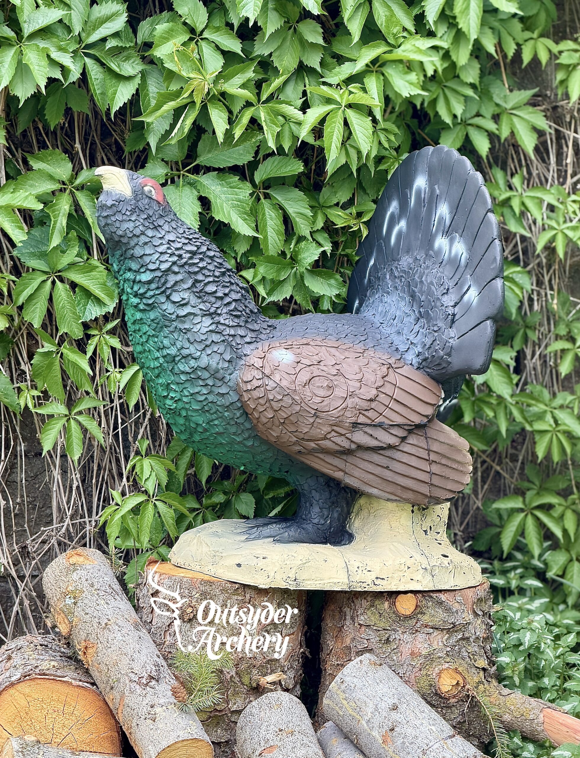SRT Woodgrouse