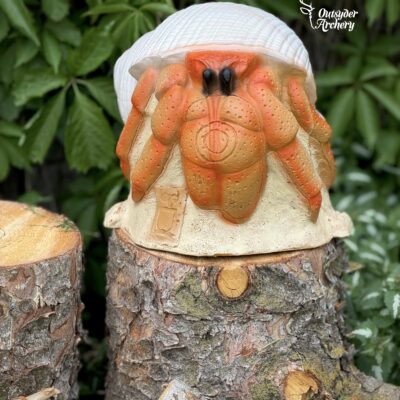 3Di Hermit Crab