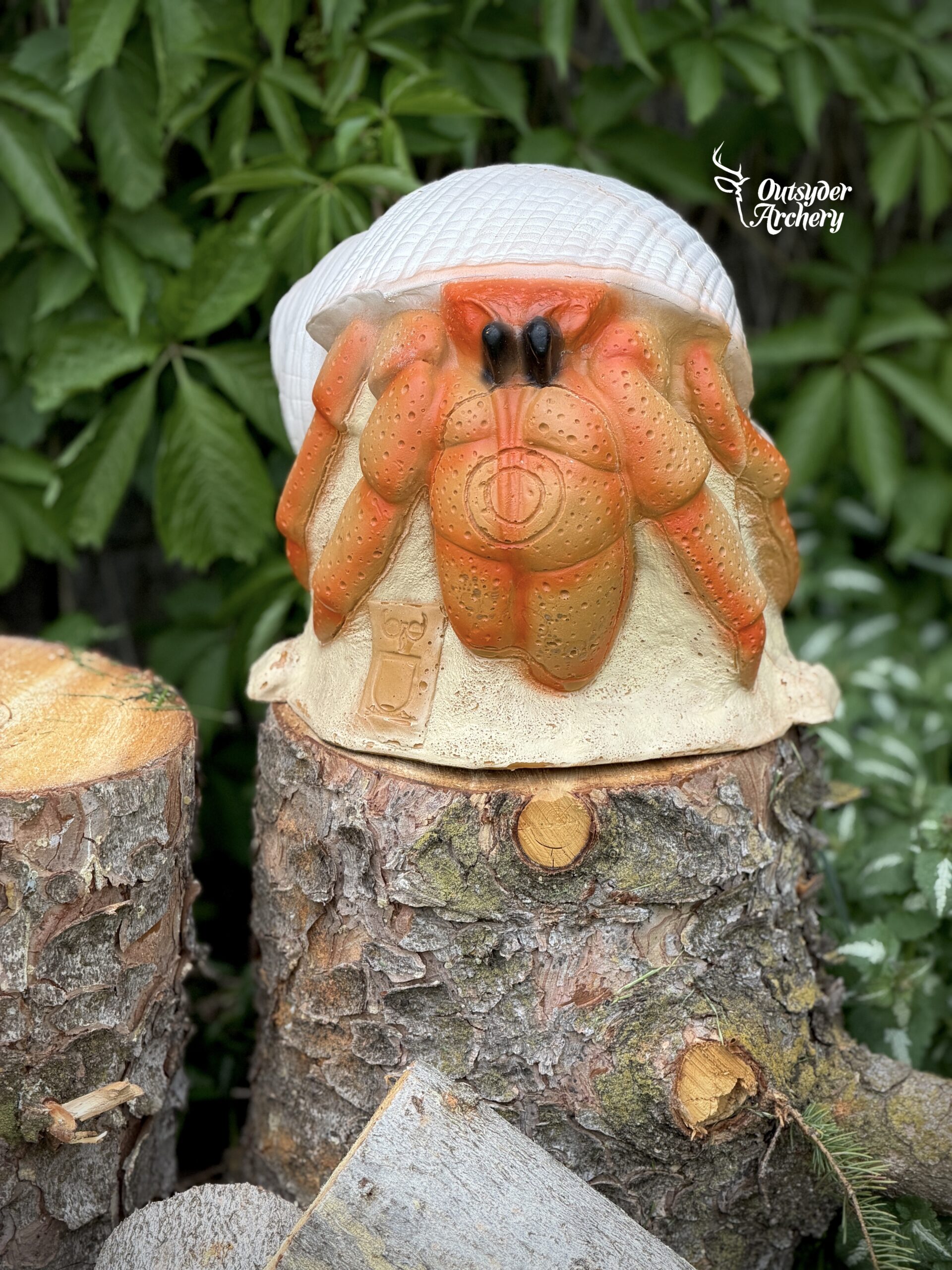 3Di Hermit Crab