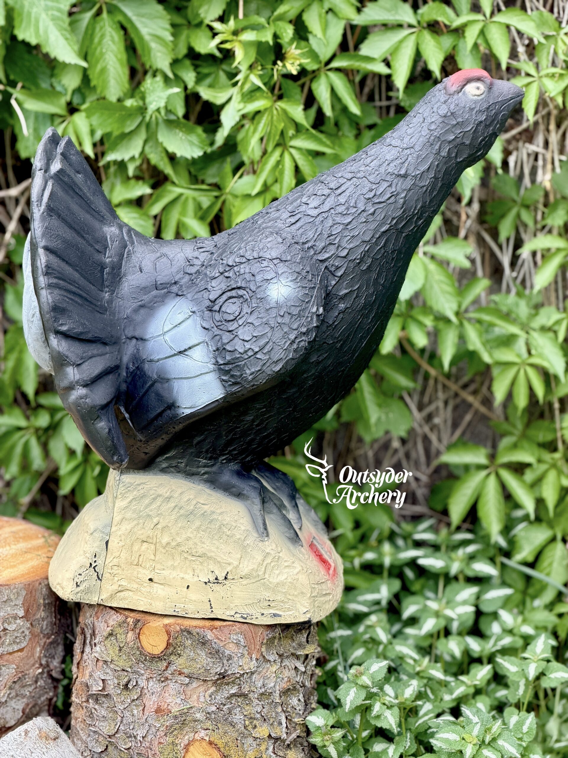 SRT Blackcock - Image 2