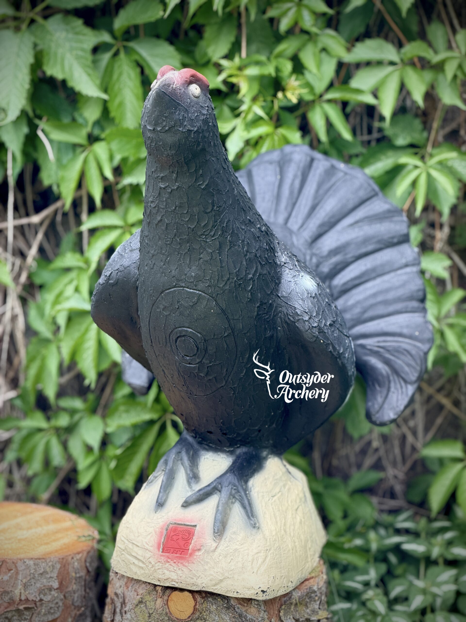 SRT Blackcock - Image 3