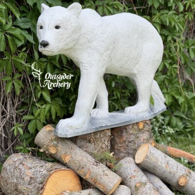 SRT Polar Bear Cub walking