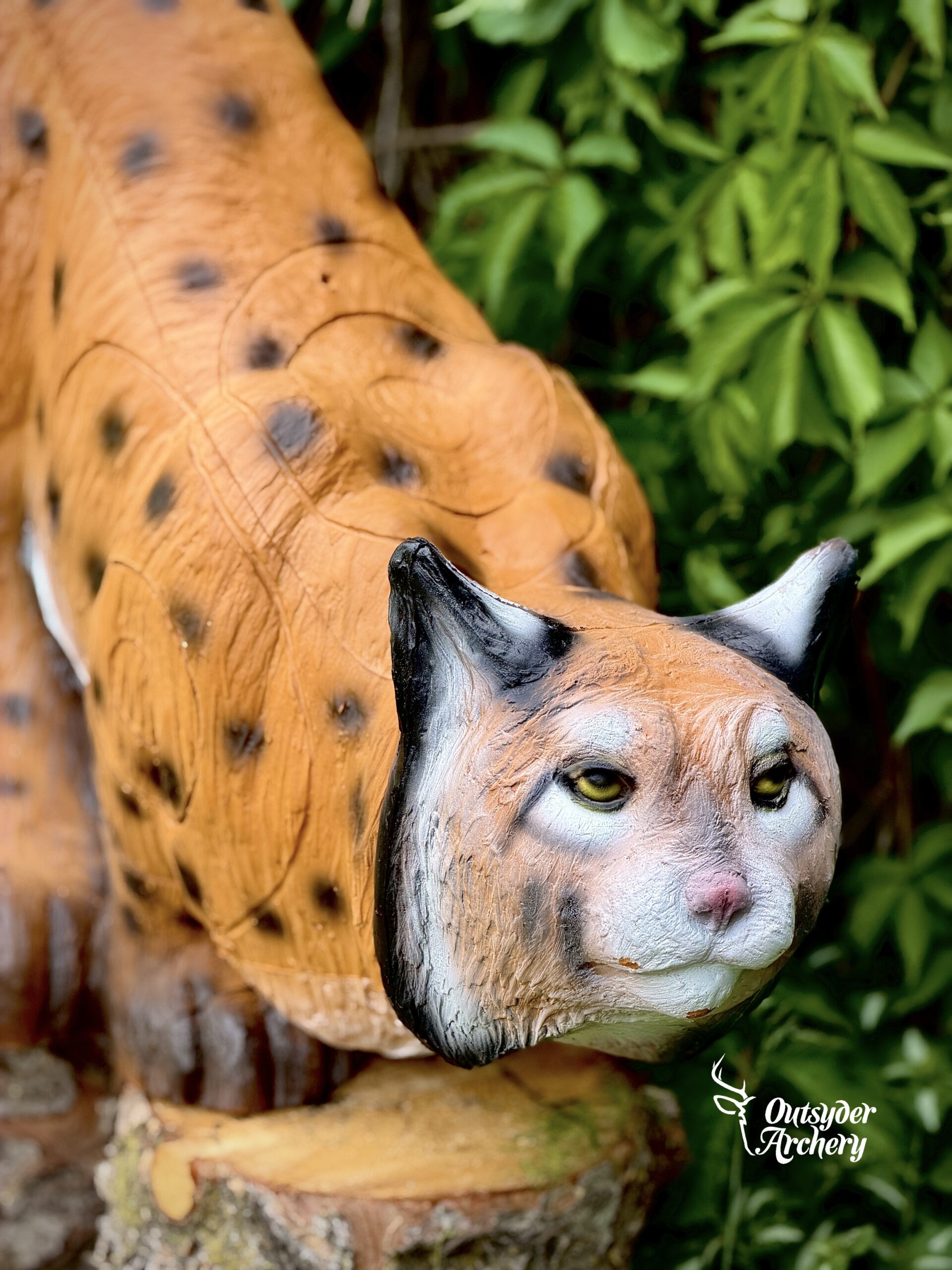 SRT Lynx hunting - Image 2