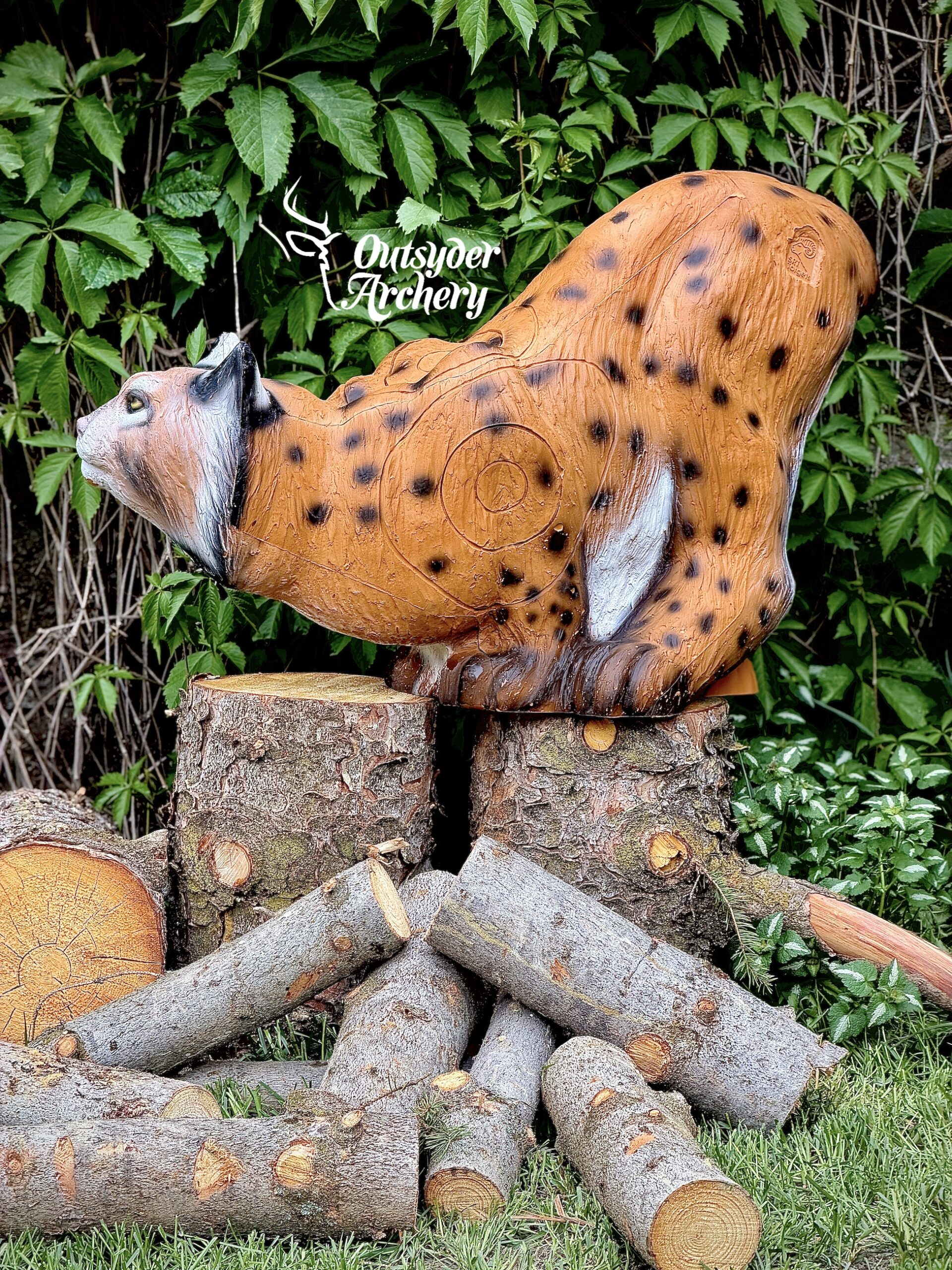 SRT Lynx hunting - Image 3